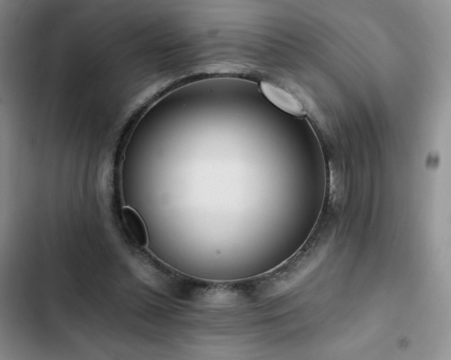 X0000102840348200808181353