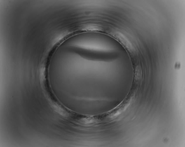 X0000102840351200808181353