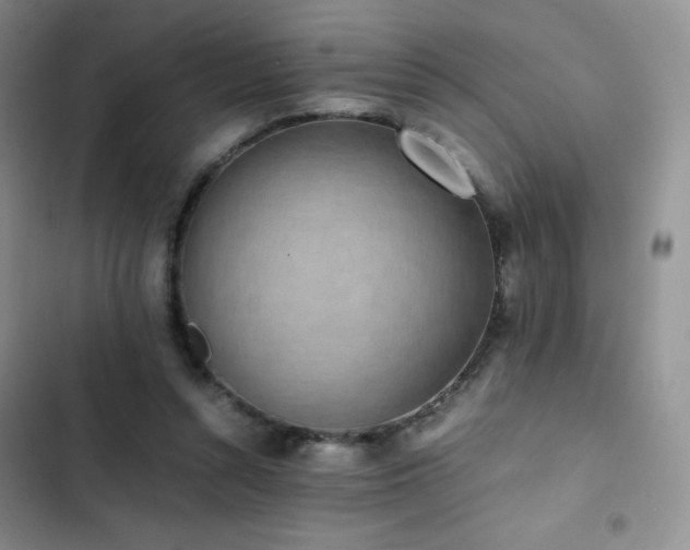 X0000102840352200808181353