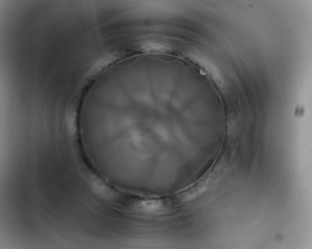 X0000102840353200808181354