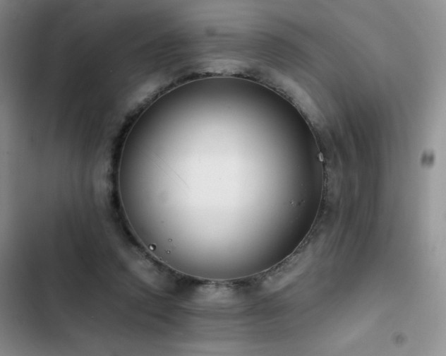 X0000102840354200808181354