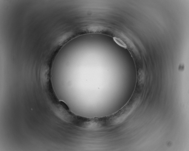 X0000102840356200808181354