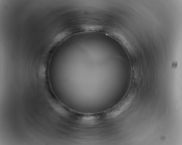 X0000102840357200808181354