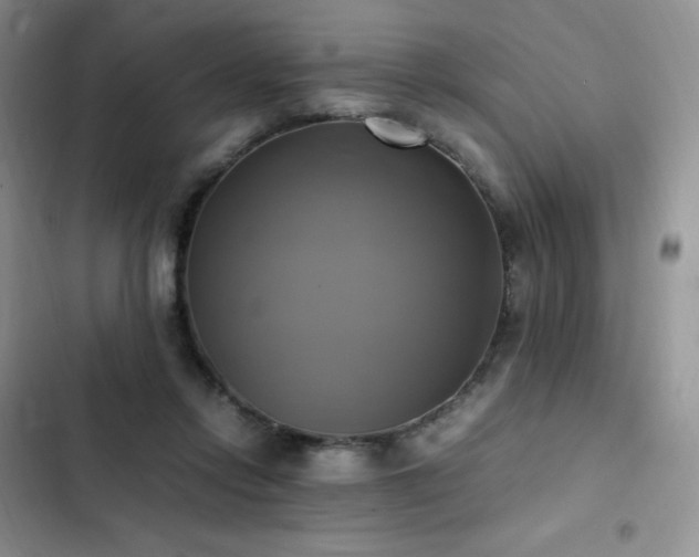 X0000102840358200808181354