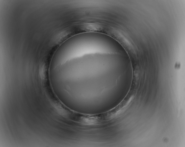 X0000102840359200808181354