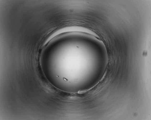 X0000102840360200808181354