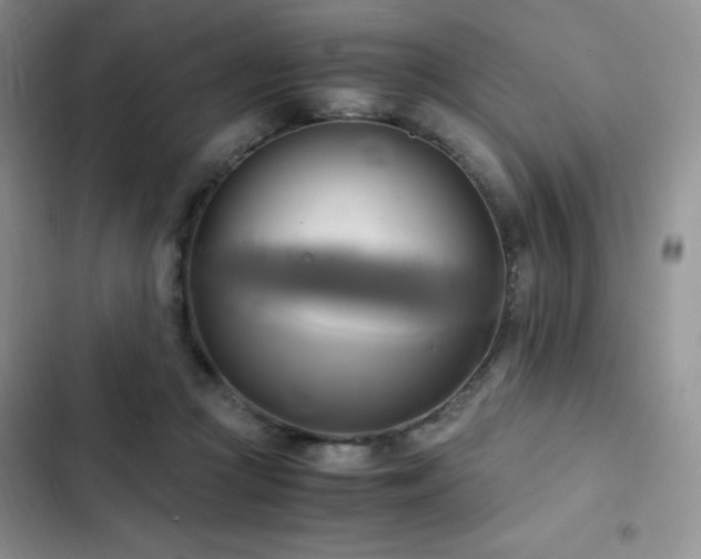 X0000102840361200808181354