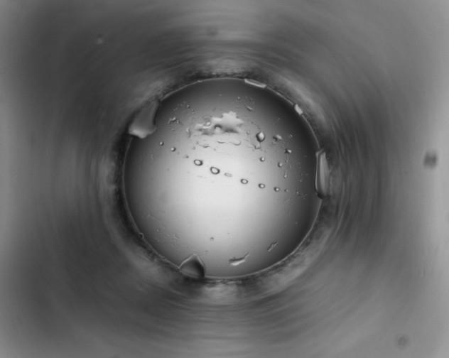 X0000102840362200808181354