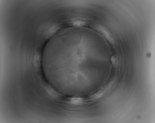 X0000102840363200808181354