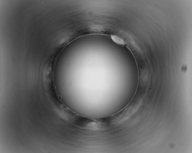 X0000102840364200808181354