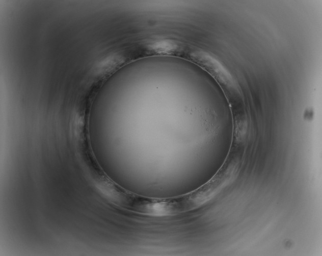 X0000102840365200808181354