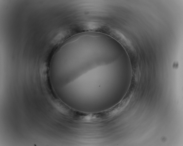 X0000102840366200808181354