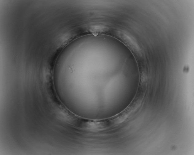 X0000102840367200808181354