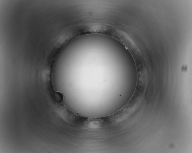 X0000102840368200808181354