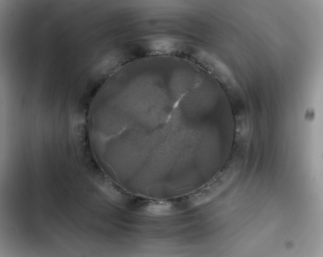 X0000102840369200808181354