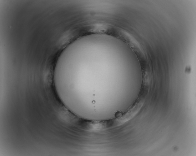 X0000102840370200808181354