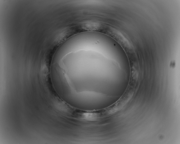 X0000102840371200808181354