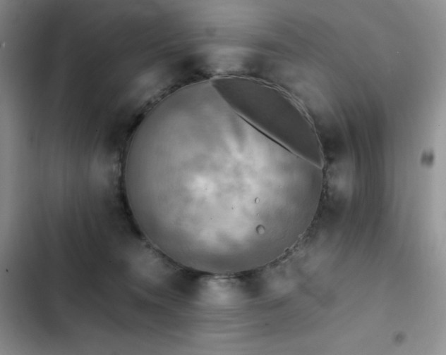 X0000102840372200808181354