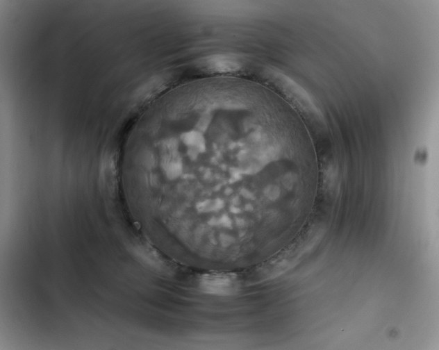 X0000102840373200808181354