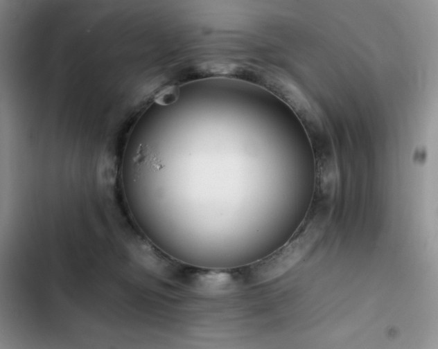 X0000102840374200808181354