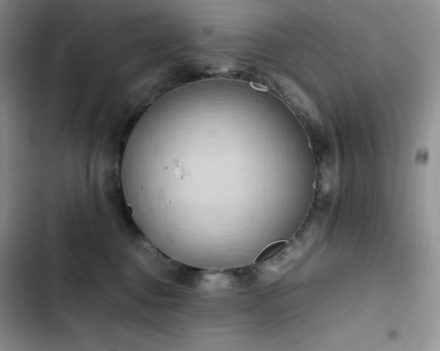 X0000102840376200808181354