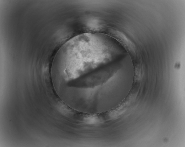 X0000102840377200808181354