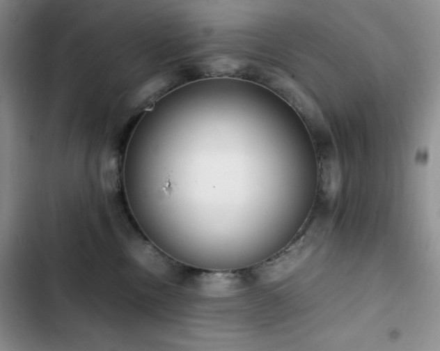 X0000102840378200808181354