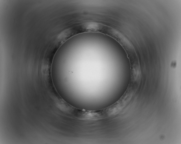 X0000102840379200808181354