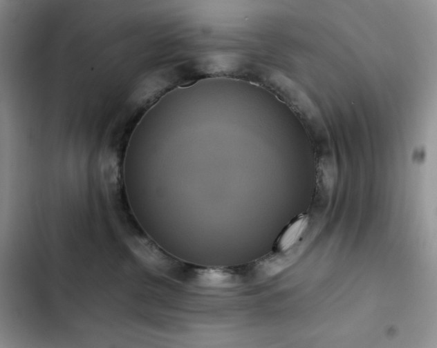 X0000102840380200808181354