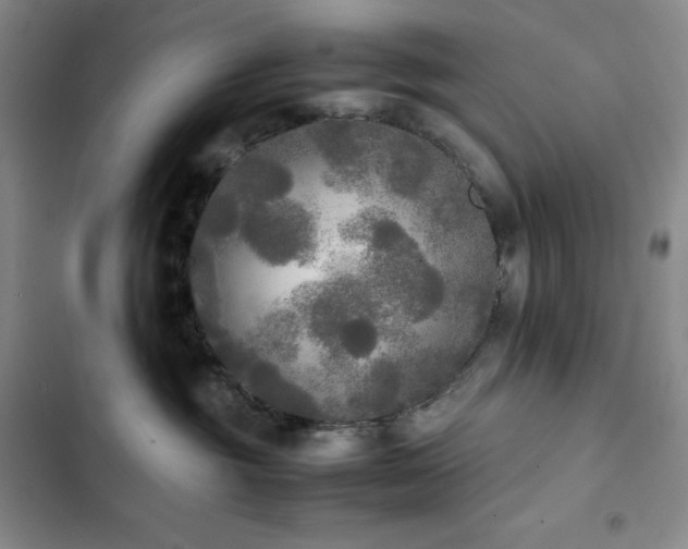 X0000102840381200808181354