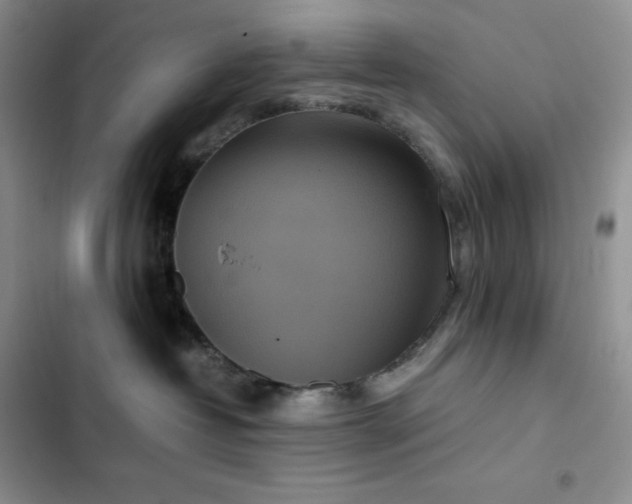 X0000102840382200808181354