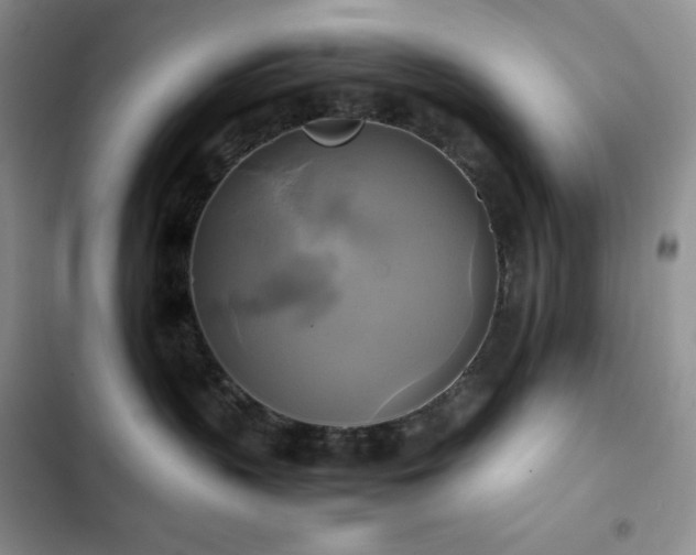 X0000102840383200808181354