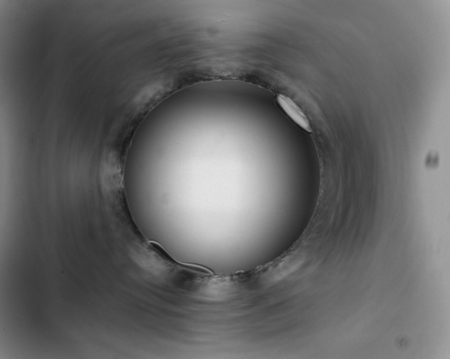 X0000102840384200808181354