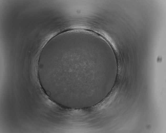 X0000102840385200808181353