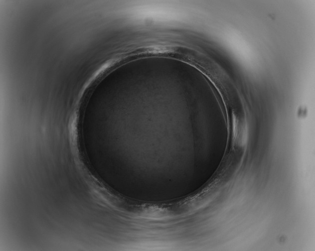 X0000102840387200808181353