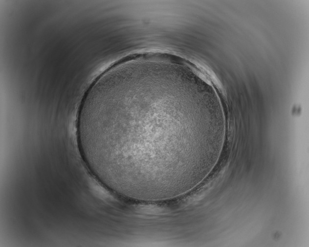 X0000102840389200808181353