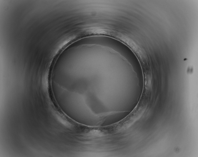 X0000102840390200808181353