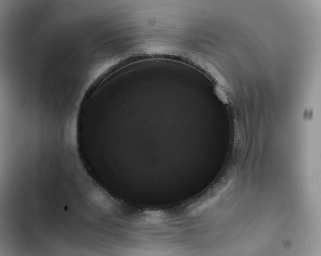 X0000102840391200808181353