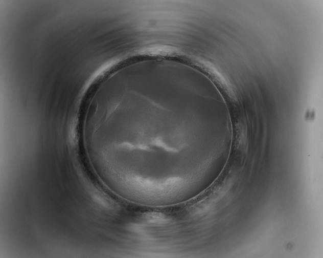 X0000102840392200808181353