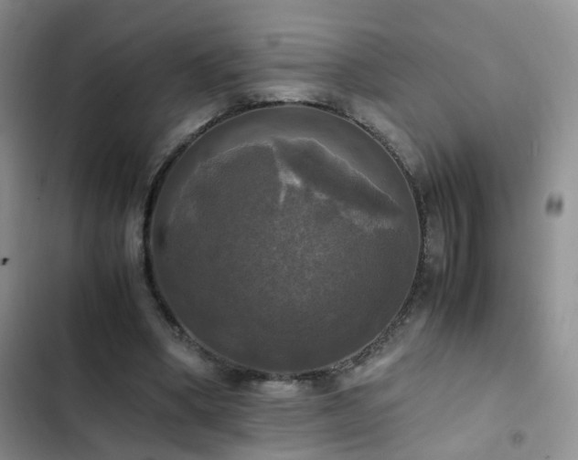 X0000102840394200808181353