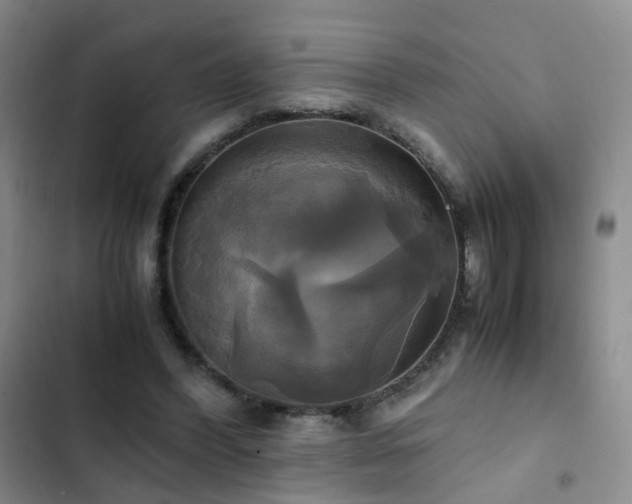 X0000102840396200808181353