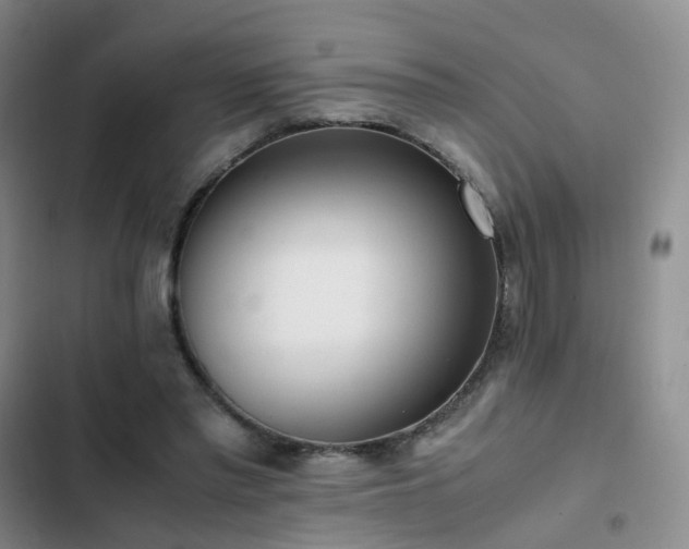 X0000102840397200808181353