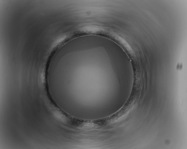 X0000102840399200808181353