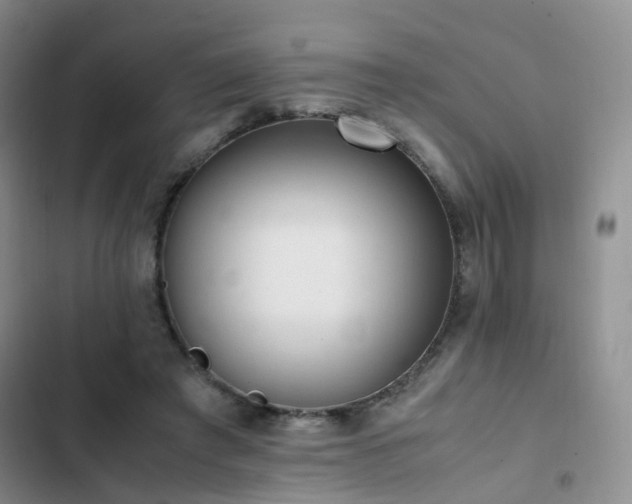 X0000102840401200808181353