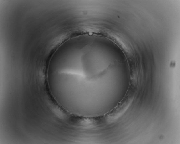 X0000102840402200808181353