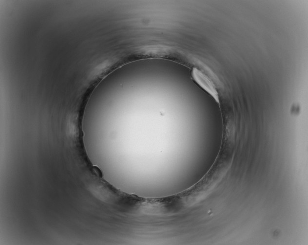 X0000102840403200808181353