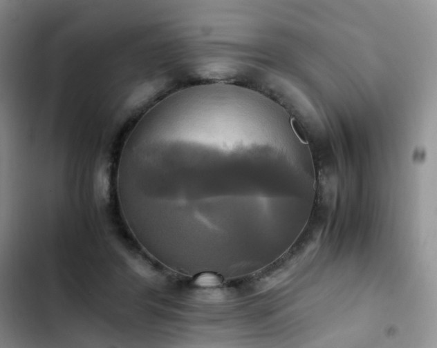 X0000102840404200808181353