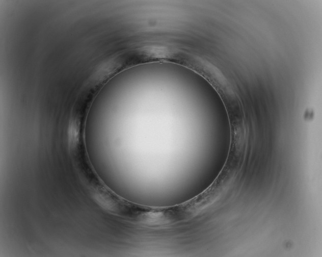 X0000102840406200808181353