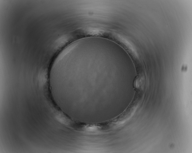 X0000102840407200808181353