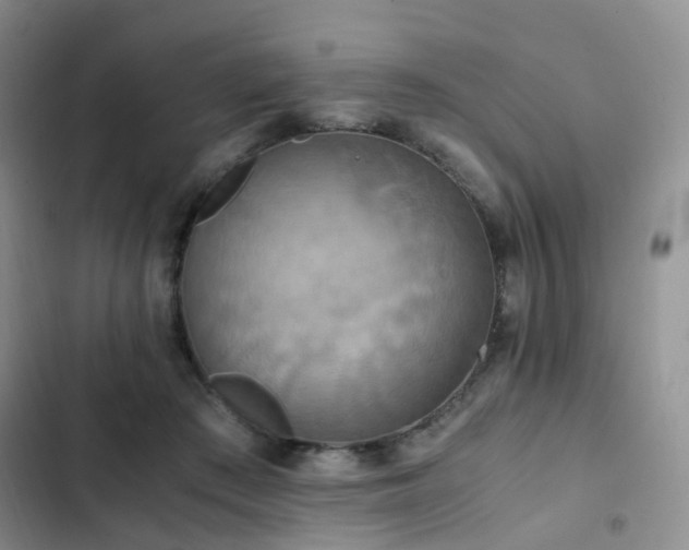 X0000102840409200808181353